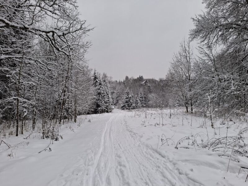 Трасса лыжная Красногорск, состояние на 29 декабря 2025 по отзыву, фото 8. 