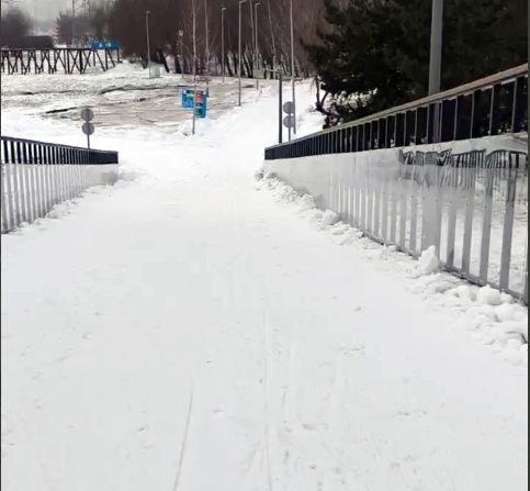 Трасса лыжероллерная Марьино, состояние на 15 декабря 2025 по отзыву, фото 2. 