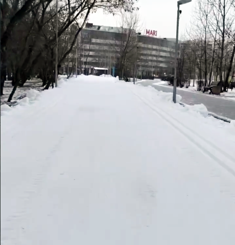 Трасса лыжероллерная Марьино, состояние на 15 декабря 2025 по отзыву, фото 1. 