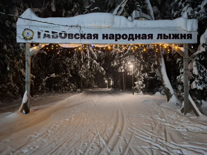 Трасса лыжная ГАБО, состояние на 29 января 2026 по отзыву, фото 7. 