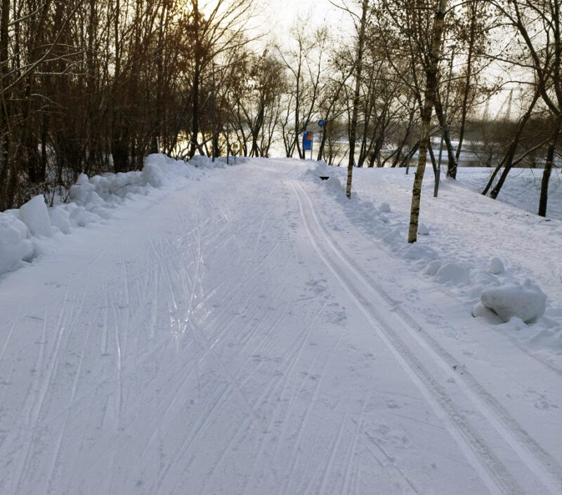 Трасса лыжероллерная Марьино, состояние на 2 января 2026 по отзыву, фото 1. 