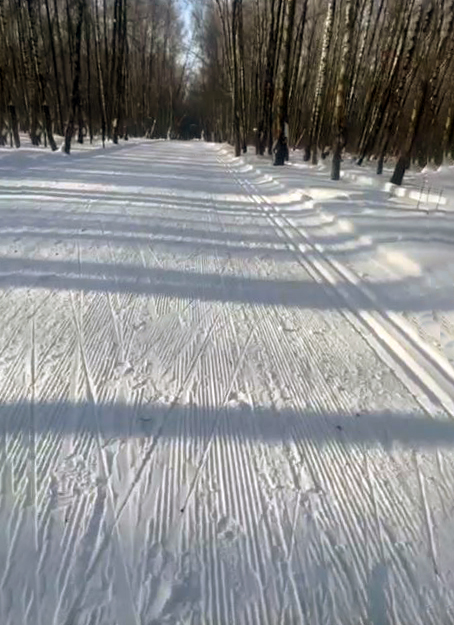 Трасса лыжная Домодедово, состояние на 19 февраля 2026 по отзыву, фото 1. 