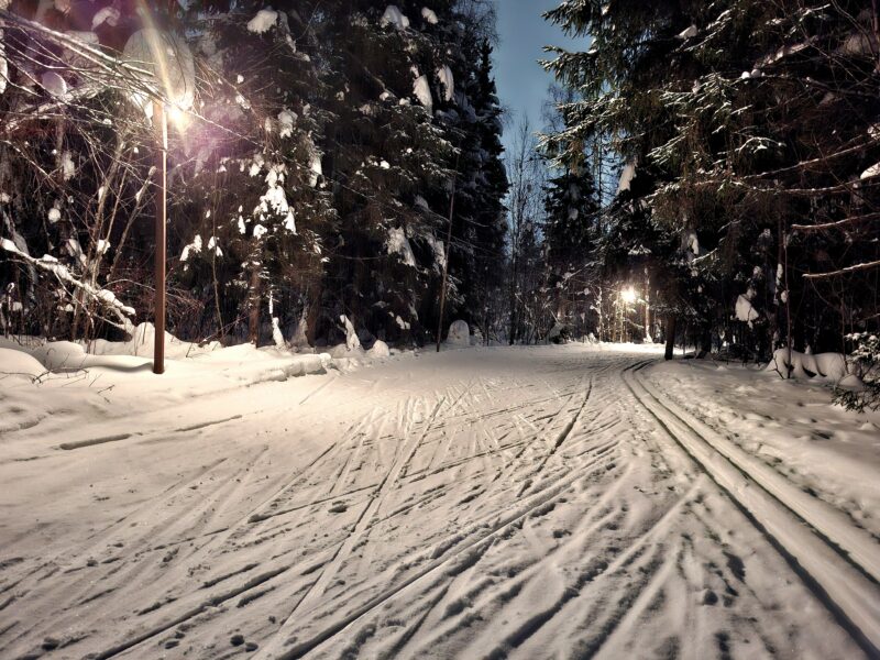 Трасса лыжная ГАБО, состояние на 11 февраля 2026 по отзыву, фото 2. 