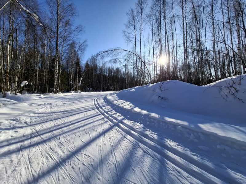 Трасса лыжная ГАБО, состояние на 17 февраля 2026 по отзыву, фото 1. 