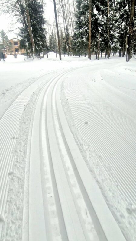 Трасса лыжная ГАБО, состояние на 19 февраля 2026 по отзыву, фото 2. 
