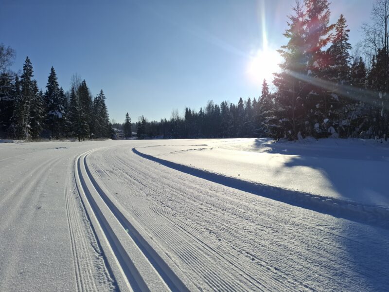 Трасса лыжная ГАБО, состояние на 5 февраля 2026 по отзыву, фото 9. 