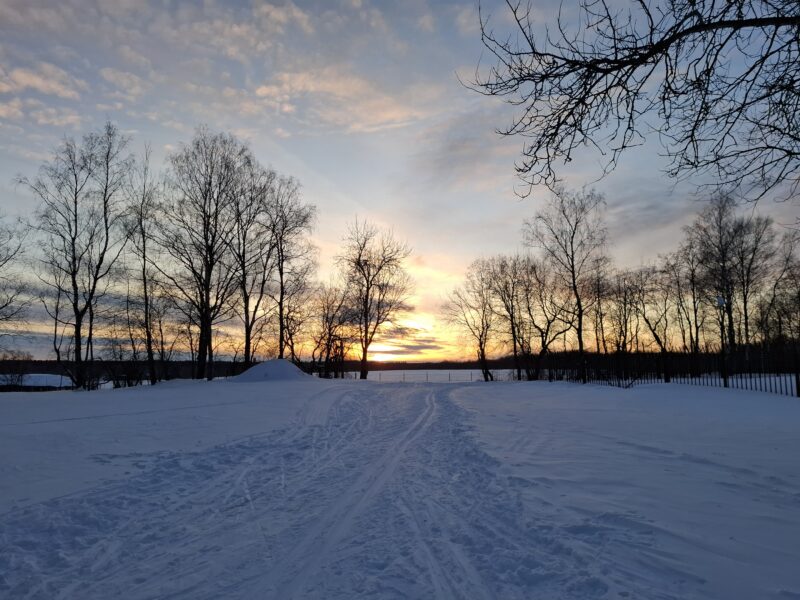Трасса лыжероллерная Головино, состояние на 24 февраля 2026 по отзыву, фото 2. 