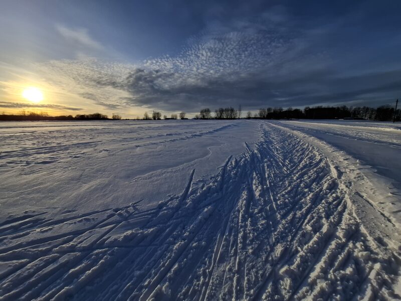 Трасса лыжероллерная Головино, состояние на 24 февраля 2026 по отзыву, фото 3. 