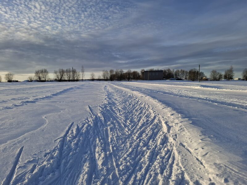Трасса лыжероллерная Головино, состояние на 24 февраля 2026 по отзыву, фото 4. 