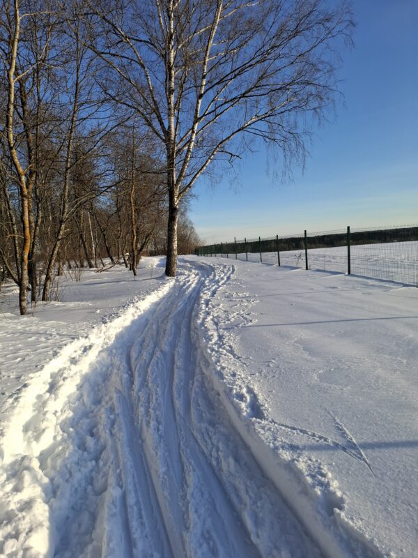 Трасса лыжероллерная Головино, состояние на 24 февраля 2026 по отзыву, фото 5. 