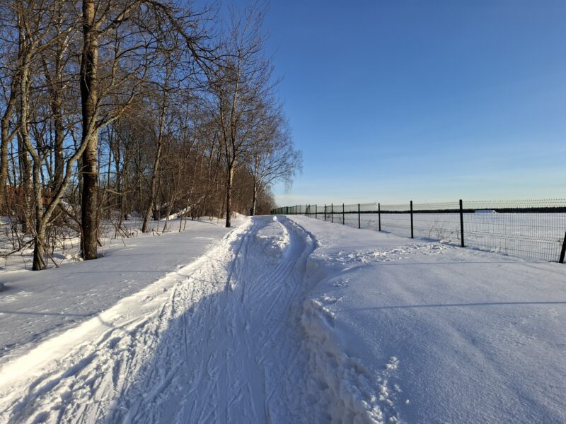 Трасса лыжероллерная Головино, состояние на 24 февраля 2026 по отзыву, фото 7. 