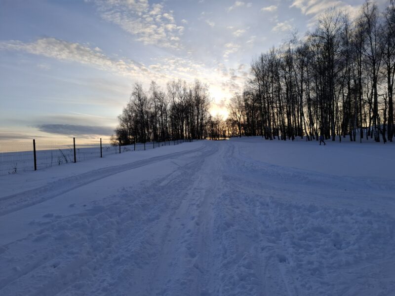 Трасса лыжероллерная Головино, состояние на 24 февраля 2026 по отзыву, фото 1. 