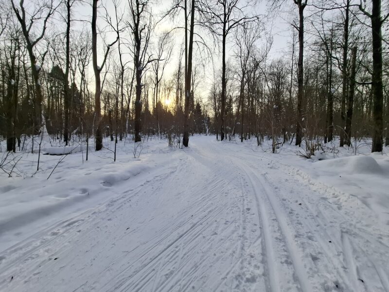 Трасса лыжная Красногорск, состояние на 18 февраля 2026 по отзыву, фото 3. 