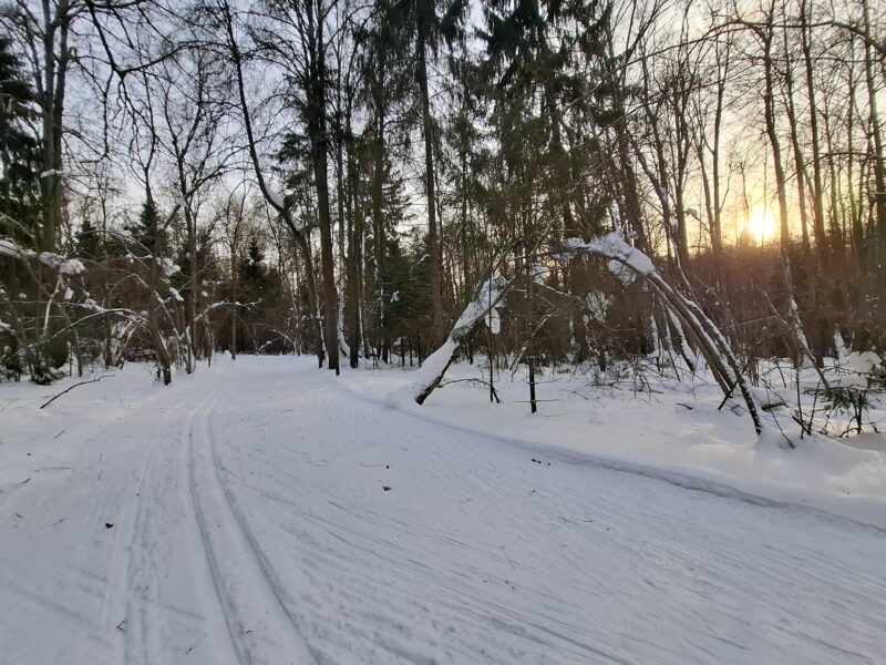 Трасса лыжная Красногорск, состояние на 18 февраля 2026 по отзыву, фото 5. 