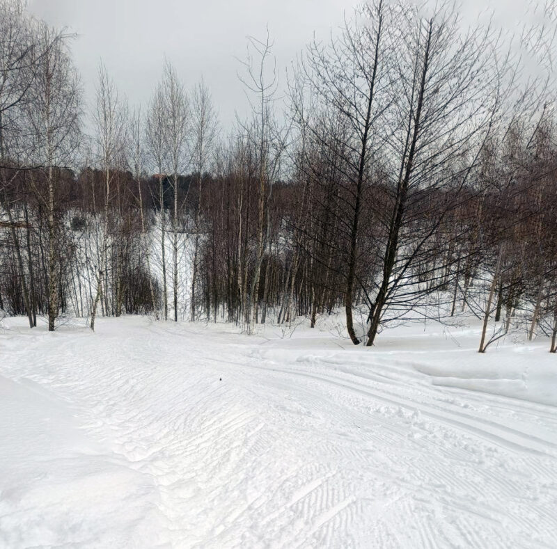 Трасса лыжероллерная Раменское, состояние на 28 февраля 2026 по отзыву, фото 1. 