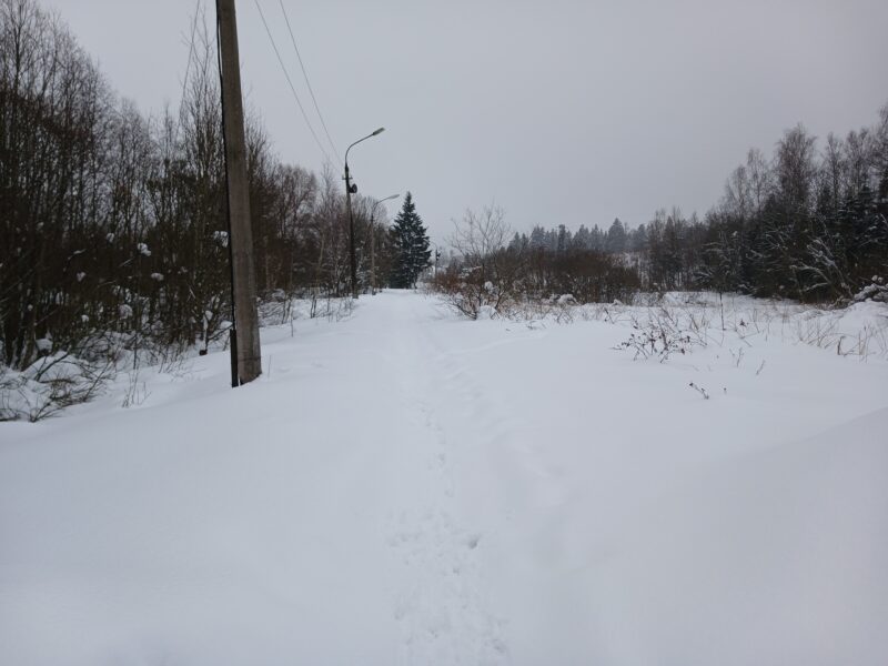 Трасса лыжная Румянцево, состояние на 15 февраля 2026 по отзыву, фото 4. трасса справа за деревьями