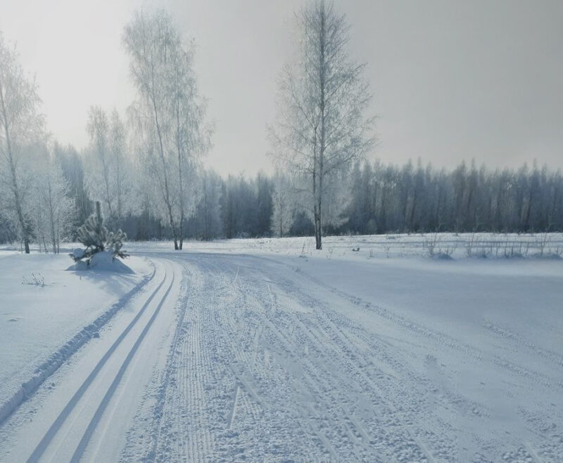 Трасса лыжная Шильково, состояние на 6 февраля 2026 по отзыву, фото 1. 
