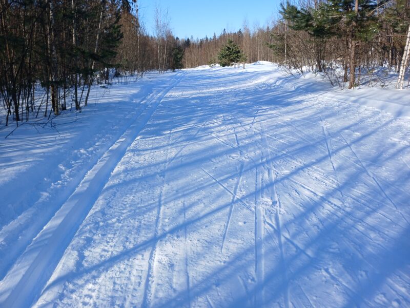 Трасса лыжная Тучково, состояние на 17 февраля 2026 по отзыву, фото 2. 