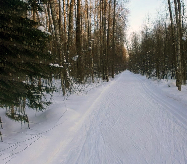 Трасса лыжная Вороново, состояние на 14 февраля 2026 по отзыву, фото 1. 