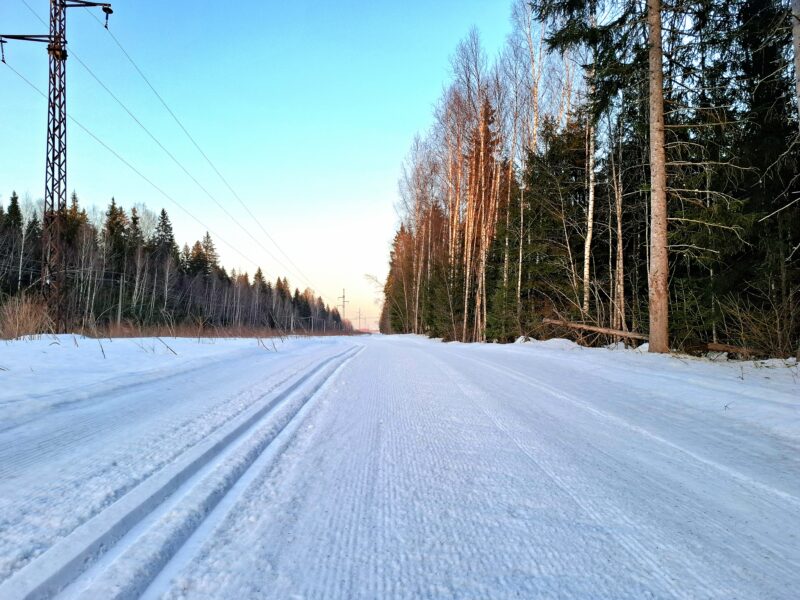 Трасса лыжная ГАБО, состояние на 17 марта 2026 по отзыву, фото 3. 
