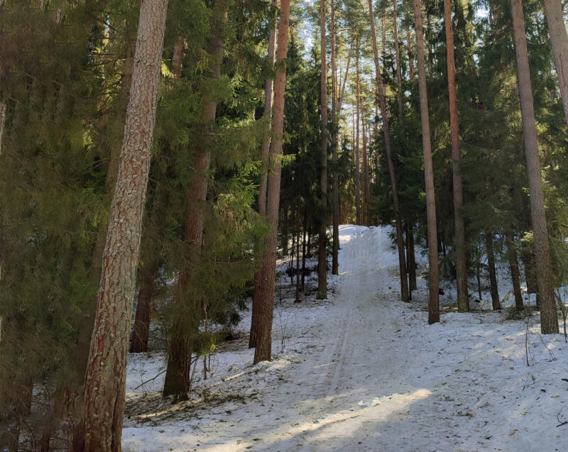 Трасса лыжная Наседкина, состояние на 27 марта 2026 по отзыву, фото 1. 