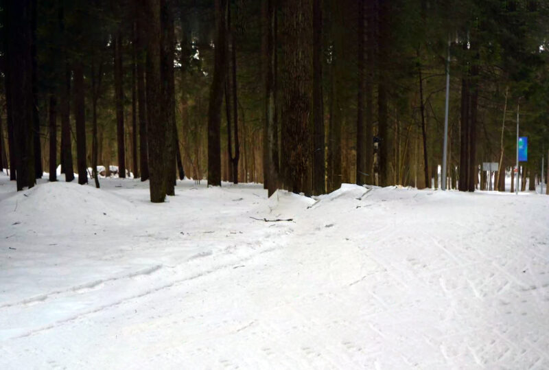 Трасса лыжероллерная Одинцово, состояние на 18 марта 2026 по отзыву, фото 1. 