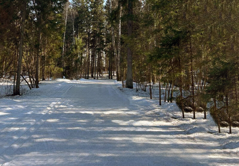 Трасса лыжероллерная Пересвет, состояние на 28 марта 2026 по отзыву, фото 1. 