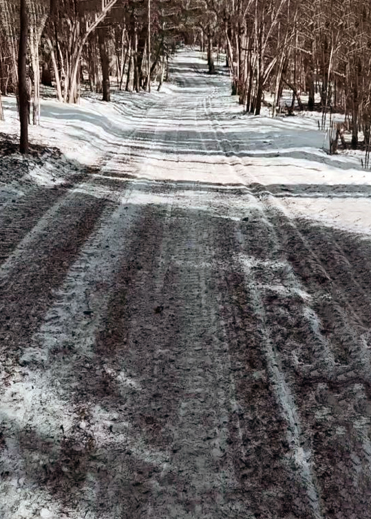 Трасса лыжная Поляны, состояние на 25 марта 2026 по отзыву, фото 1. 