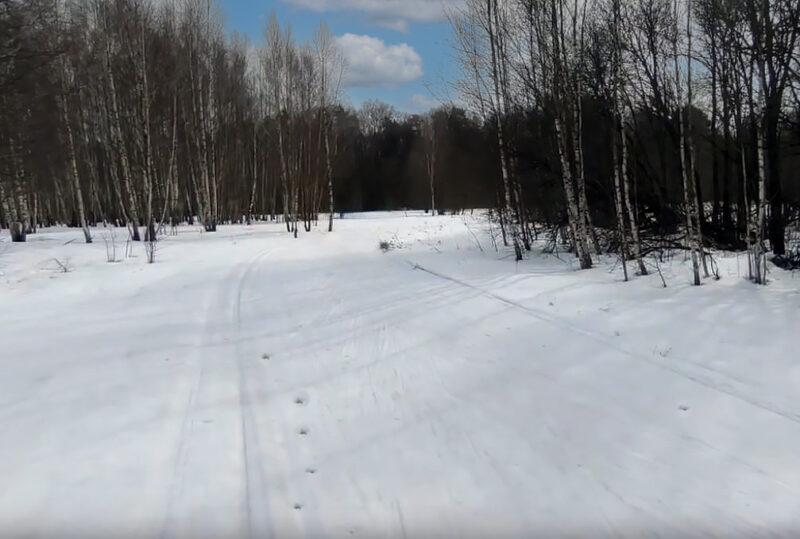 Трасса лыжная Шильково, состояние на 22 марта 2026 по отзыву, фото 1. 