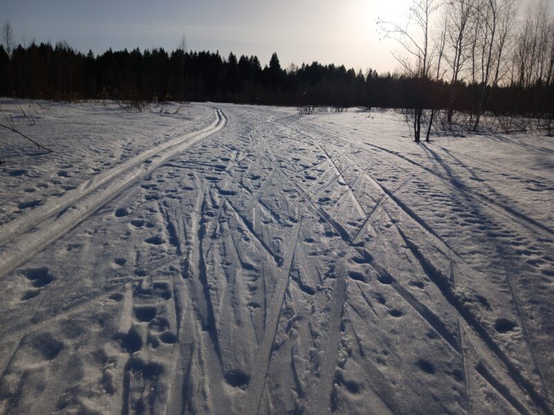Трасса лыжная Тучково, состояние на 10 марта 2026 по отзыву, фото 3. На поле