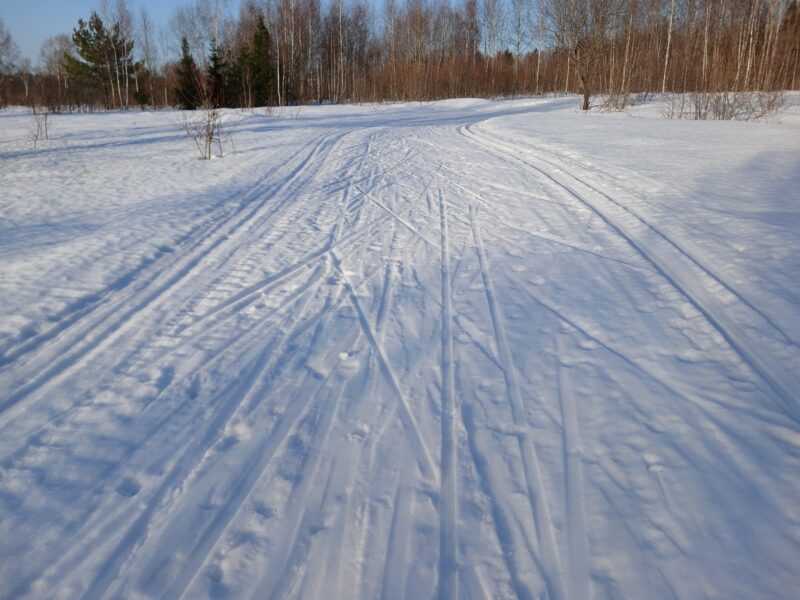 Трасса лыжная Тучково, состояние на 10 марта 2026 по отзыву, фото 1. На поле в обратную сторону