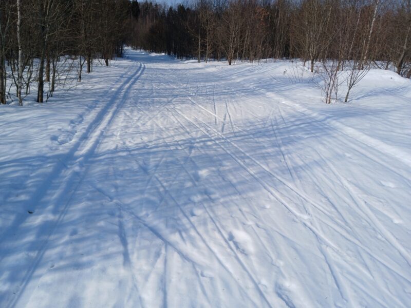 Трасса лыжная Тучково, состояние на 12 марта 2026 по отзыву, фото 2. 