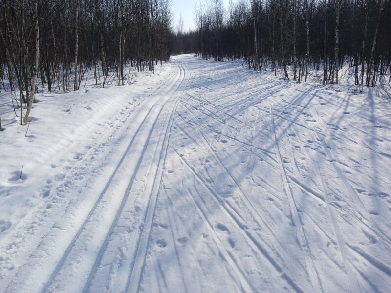 Трасса лыжная Тучково, состояние на 12 марта 2026 по отзыву, фото 1. 