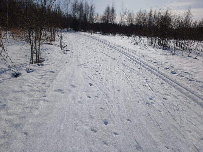 Трасса лыжная Тучково, состояние на 14 марта 2026 по отзыву, фото 1. 