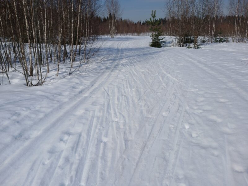 Трасса лыжная Тучково, состояние на 17 марта 2026 по отзыву, фото 3. 