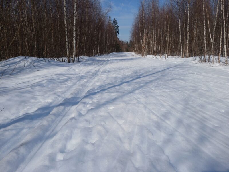 Трасса лыжная Тучково, состояние на 17 марта 2026 по отзыву, фото 4. 