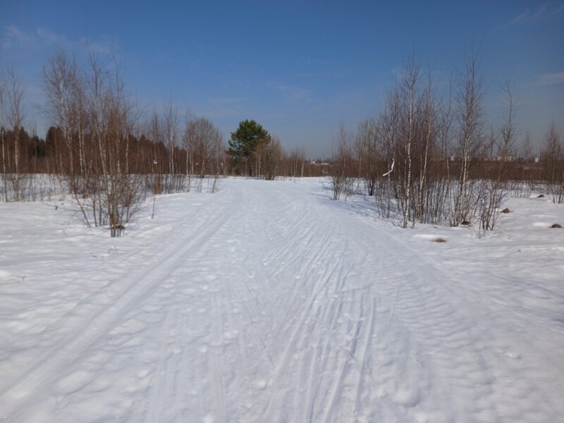 Трасса лыжная Тучково, состояние на 17 марта 2026 по отзыву, фото 1. 