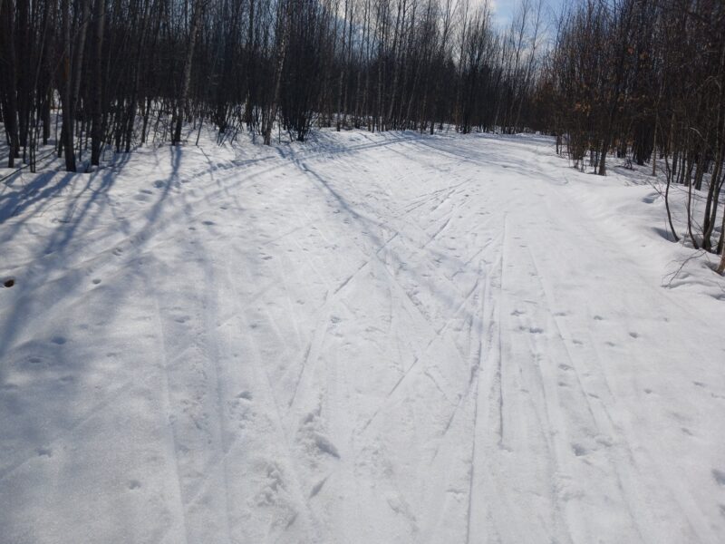 Трасса лыжная Тучково, состояние на 19 марта 2026 по отзыву, фото 2. 