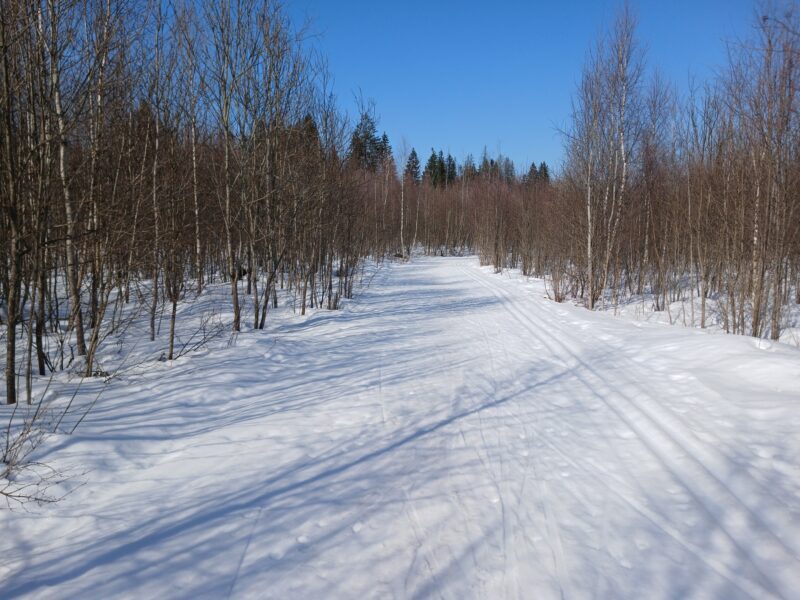 Трасса лыжная Тучково, состояние на 19 марта 2026 по отзыву, фото 1. 