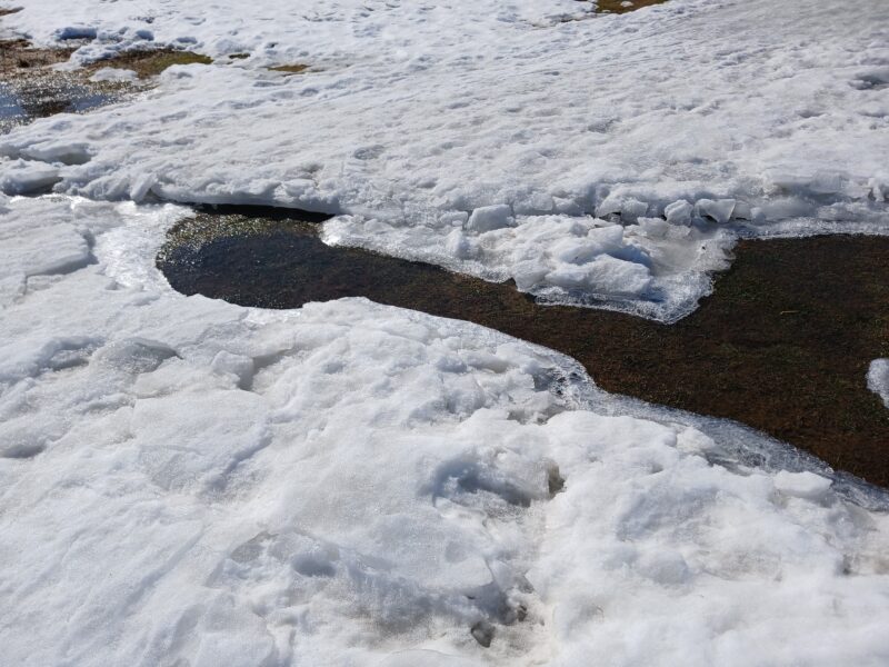 Трасса лыжная Тучково, состояние на 23 марта 2026 по отзыву, фото 3. На выходе со стадиона