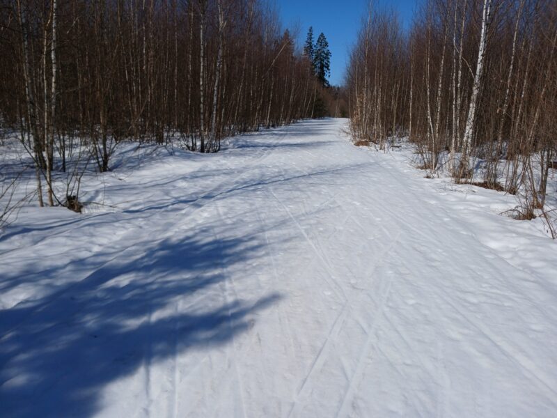 Трасса лыжная Тучково, состояние на 23 марта 2026 по отзыву, фото 2. Снежное покрытие как зимой. Вся траса такая, на стадион можно не заезжать