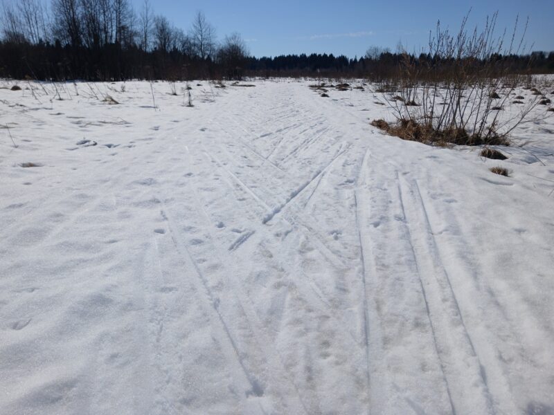 Трасса лыжная Тучково, состояние на 23 марта 2026 по отзыву, фото 4. На поле снег заметно уменьшается