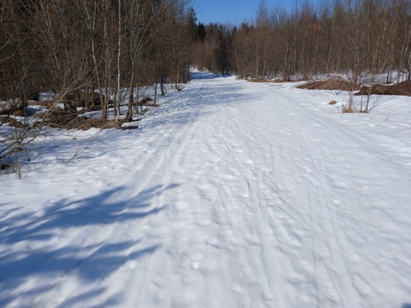 Трасса лыжная Тучково, состояние на 25 марта 2026 по отзыву, фото 1. 