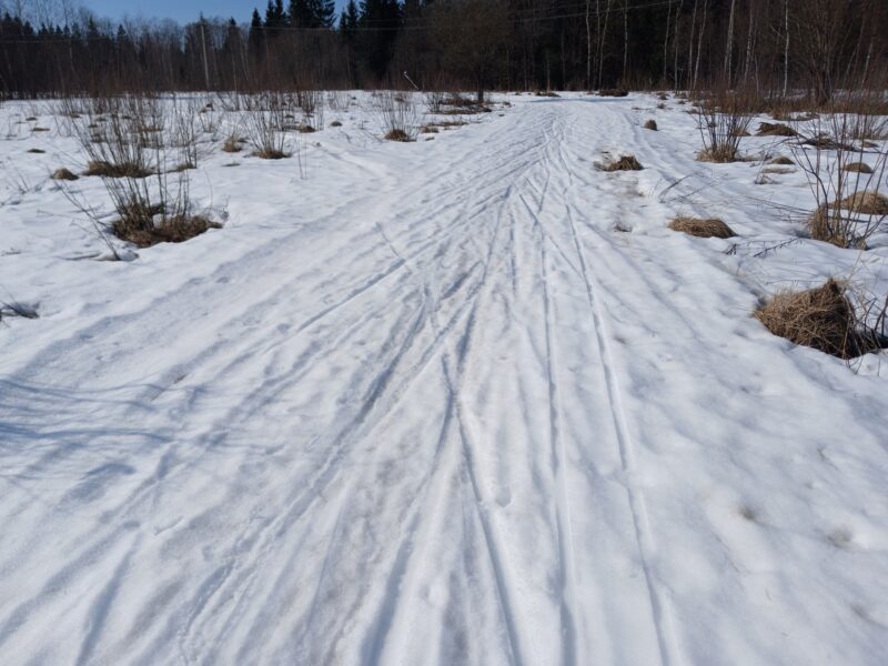 Трасса лыжная Тучково, состояние на 25 марта 2026 по отзыву, фото 2. На поле