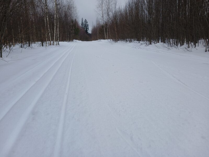 Трасса лыжная Тучково, состояние на 6 марта 2026 по отзыву, фото 1. 