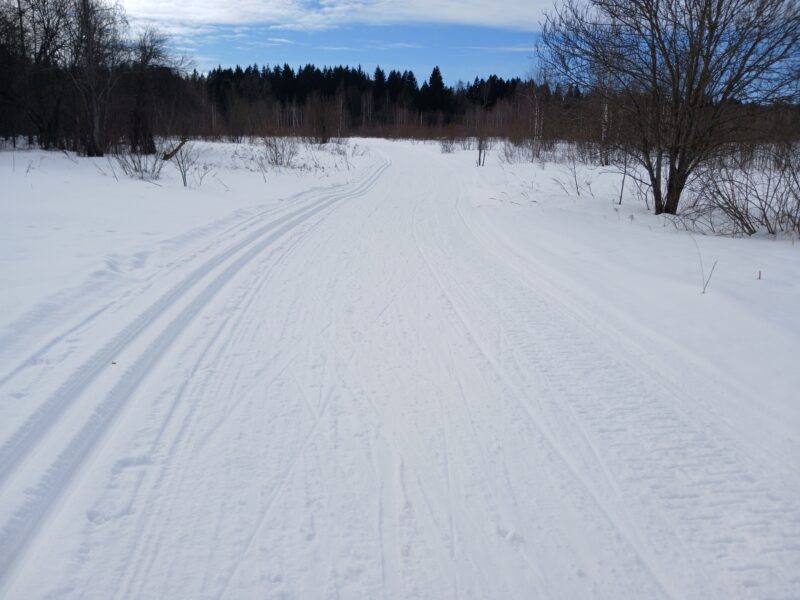 Трасса лыжная Тучково, состояние на 8 марта 2026 по отзыву, фото 2. 