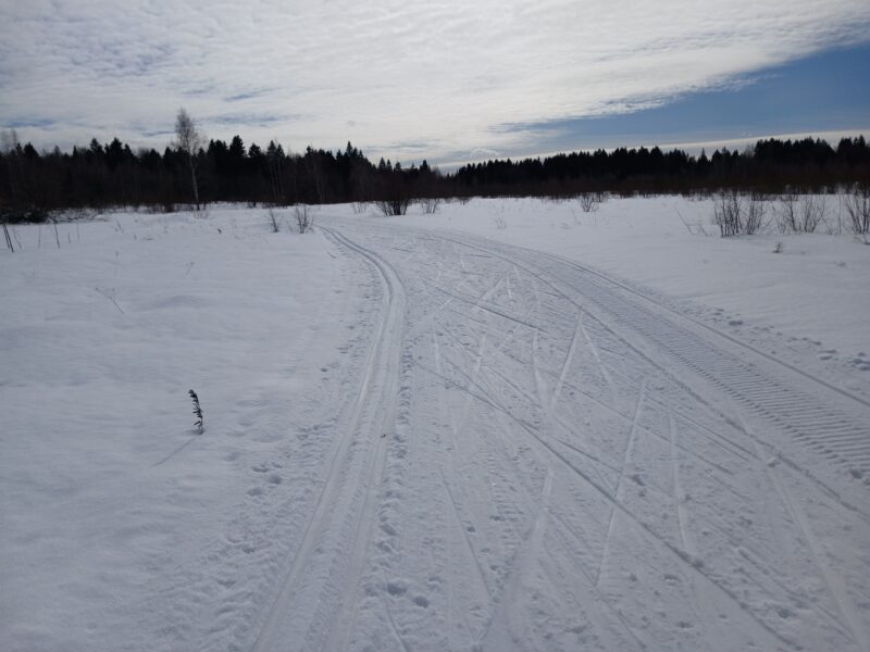 Трасса лыжная Тучково, состояние на 8 марта 2026 по отзыву, фото 3. 