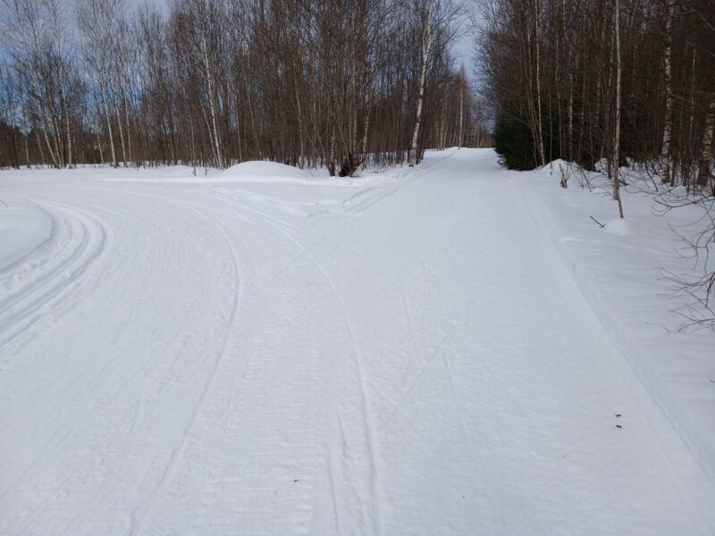 Трасса лыжная Тучково, состояние на 8 марта 2026 по отзыву, фото 1. 
