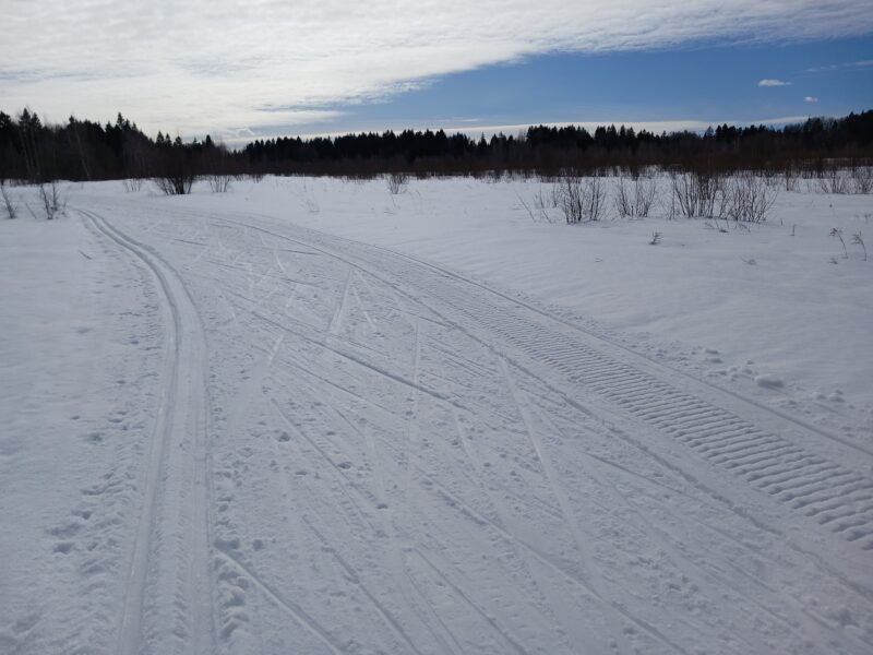 Трасса лыжная Тучково, состояние на 8 марта 2026 по отзыву, фото 4. 