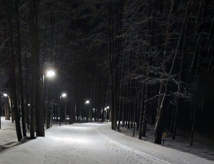 Трасса лыжероллерная Волкуша, состояние на 5 марта 2026 по отзыву, фото 1. 